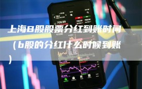 上海B股股票分红到账时间（b股的分红什么时候到账）