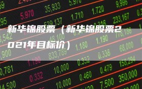 新华锦股票（新华锦股票2021年目标价）