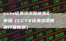 cctv证券资讯频道外汇市场（CCTV证券资讯频道开播报道）