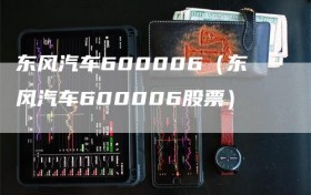 东风汽车600006（东风汽车600006股票）