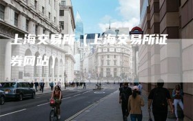 上海交易所（上海交易所证券网站）