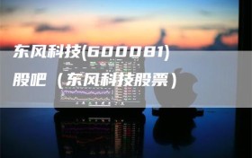 东风科技(600081)股吧（东风科技股票）
